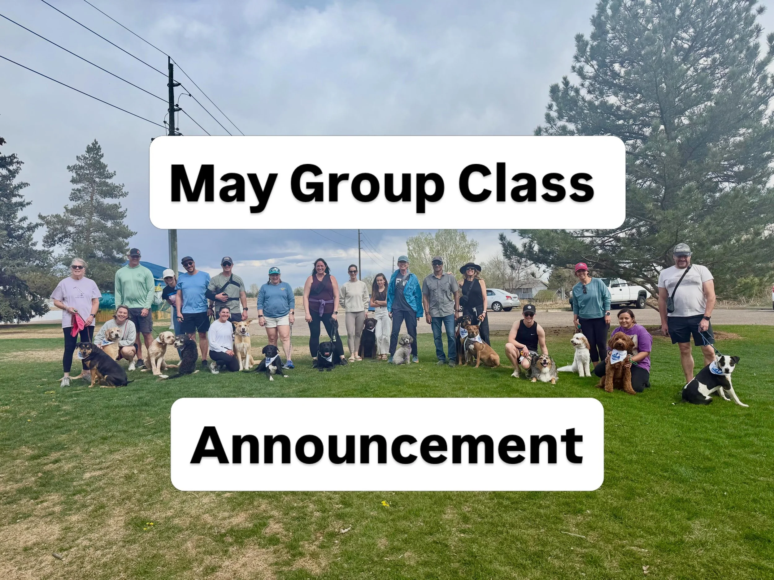 🚨May Group Class Announcement 🚨

You guys I am so excited to announce the Group Class schedule for May! We are going to be focusing on Off Leash work around other dogs this month, including making sure our pups are interacting appropriately with ne