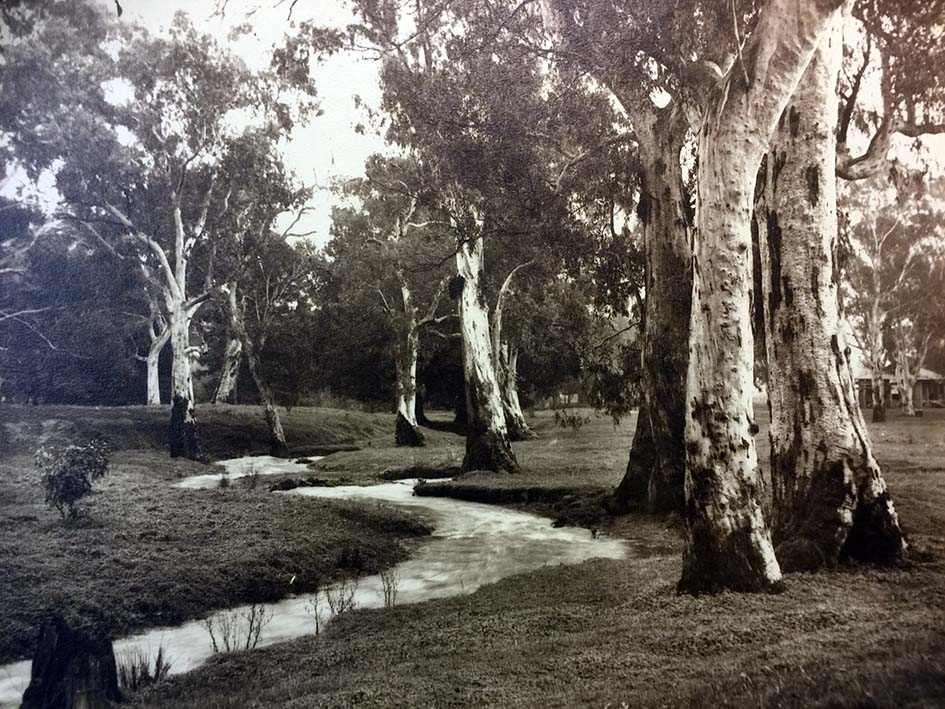  First Creek Hazelwood Park 1920s 