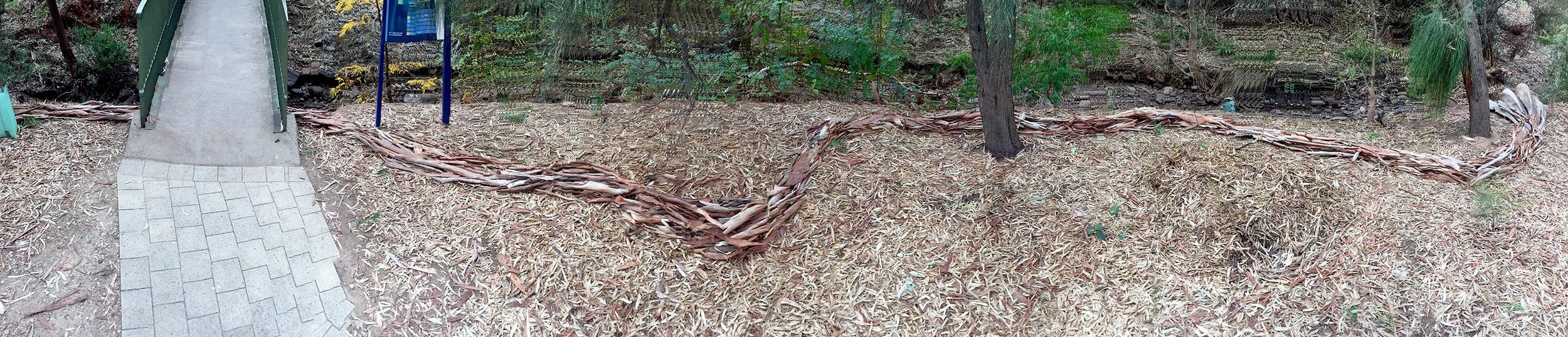   Seven Headed First Creek Snake  2017. Collaborative work with Marryatville High School year 8 students. Bark, site specific ephemeral work. 