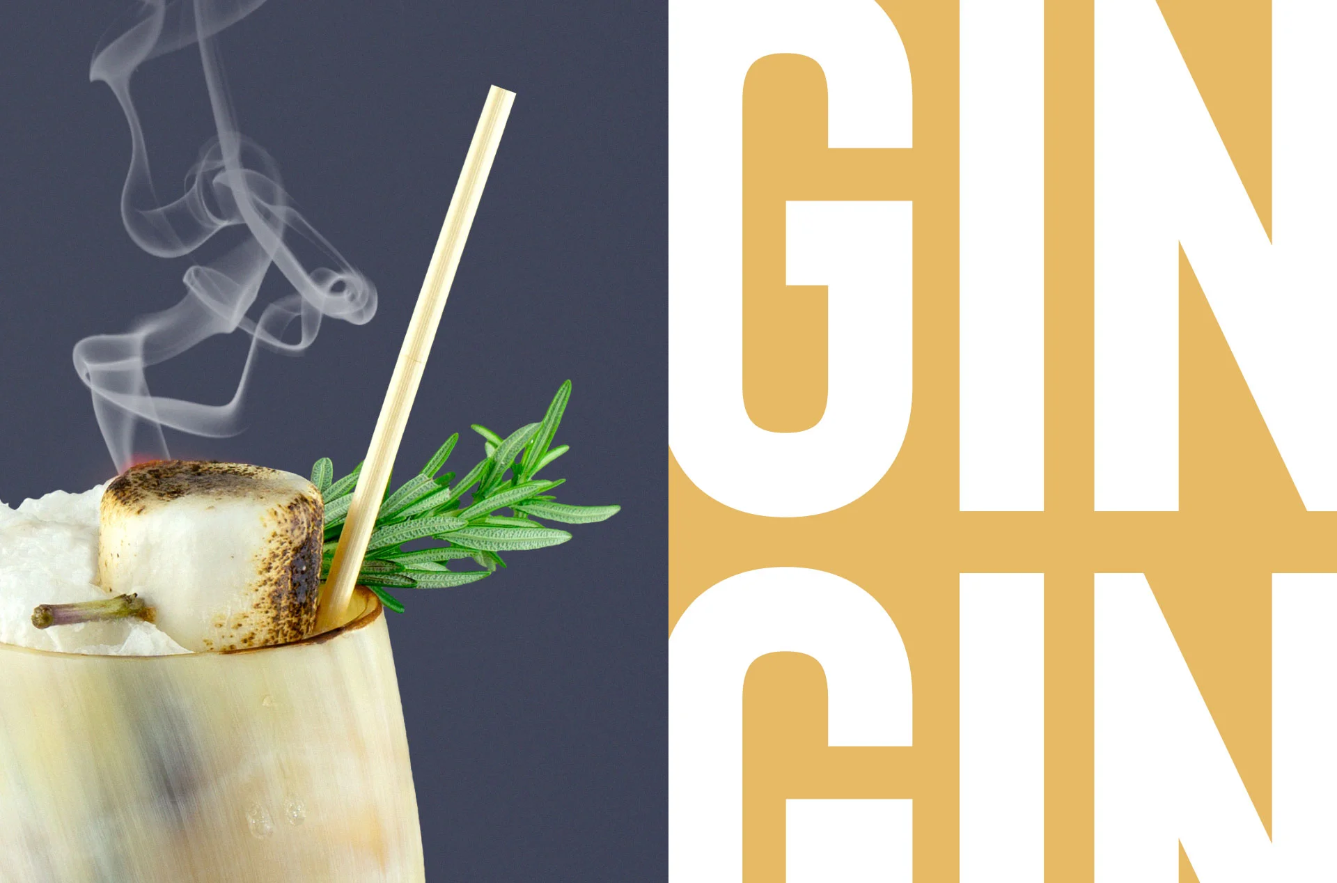 GIN_Image_01.jpg