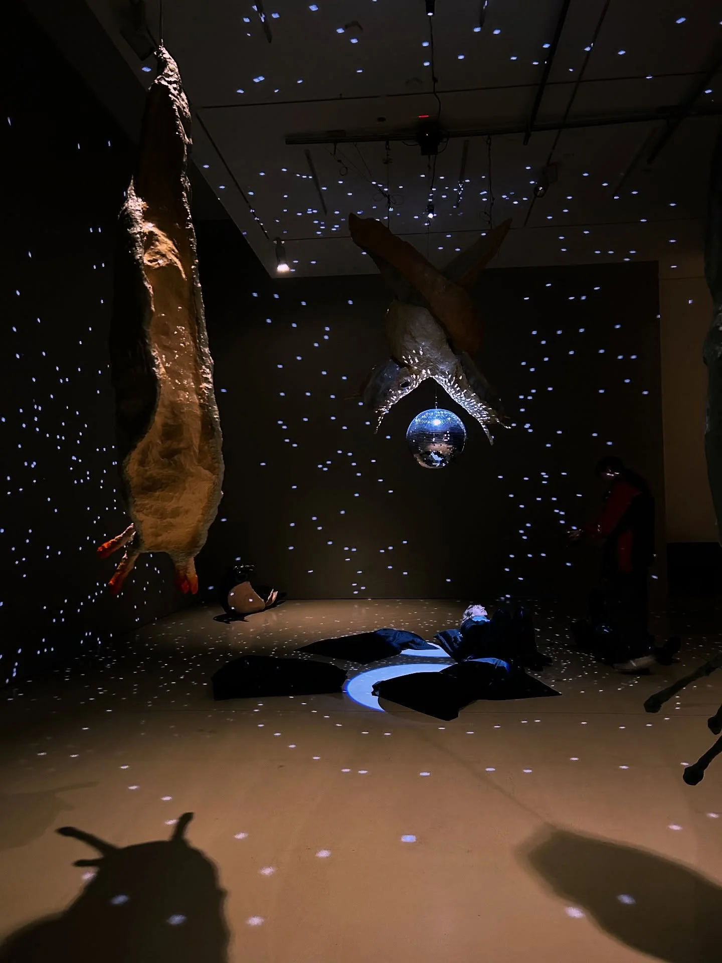 November 🪐 a historically Not Great month that was decidedly better this year ✨