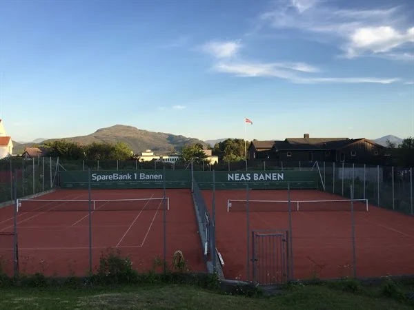 Divisjonsspill i klubben