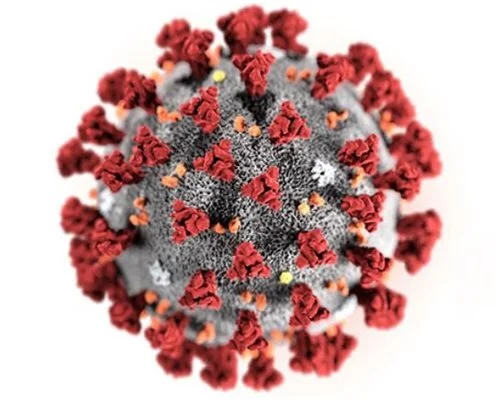 Årsmøte med middag avlyst!