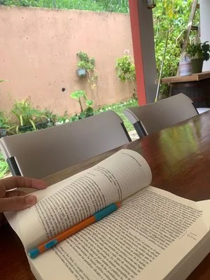 Sobre la sentencia, con Pierre Bourdieu