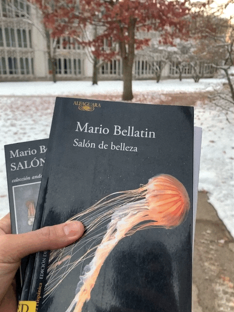 cuaderno de lecturas: el final de “salón de belleza” de mario bellatin