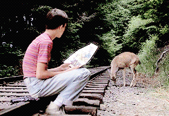 tumblr_n7vr8yohK61r8rg3jo1_r2_250.gif
