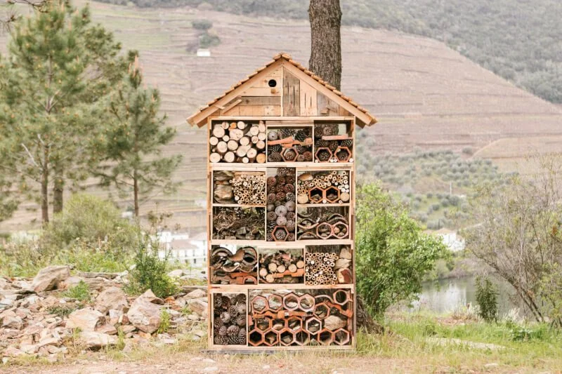 FLADGATE TO OPEN SIX DOURO HOTELS THIS YEAR