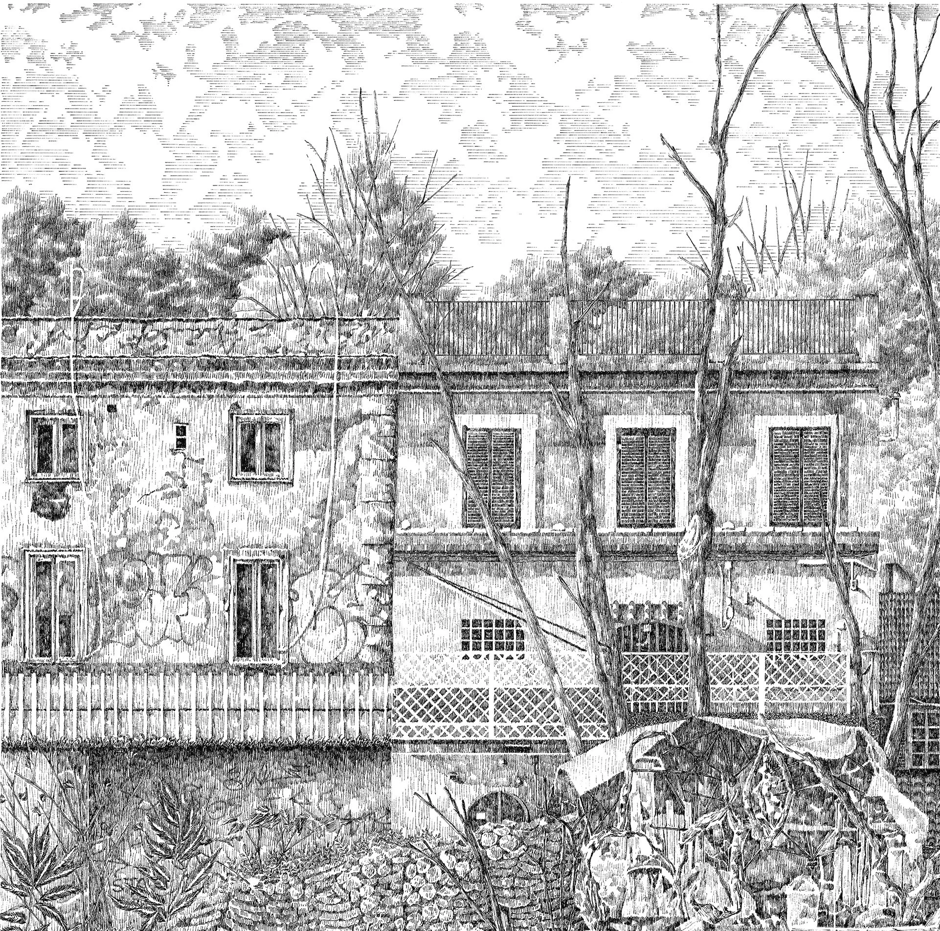 cocci haut gauche.jpg