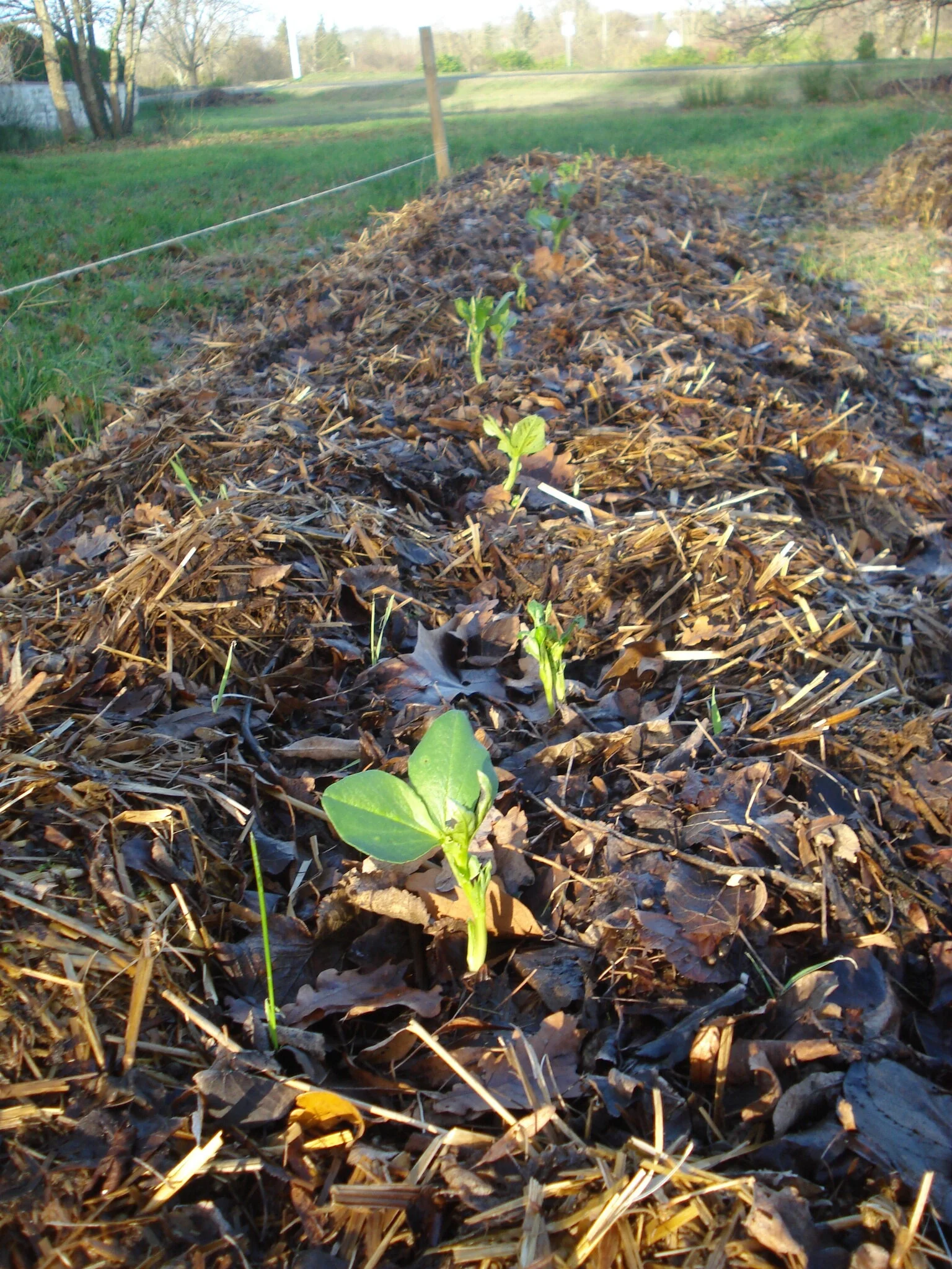 Ateliers de permaculture