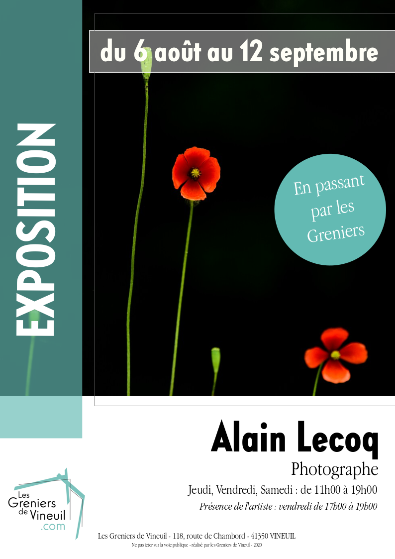 Exposition Alain Lecoq
