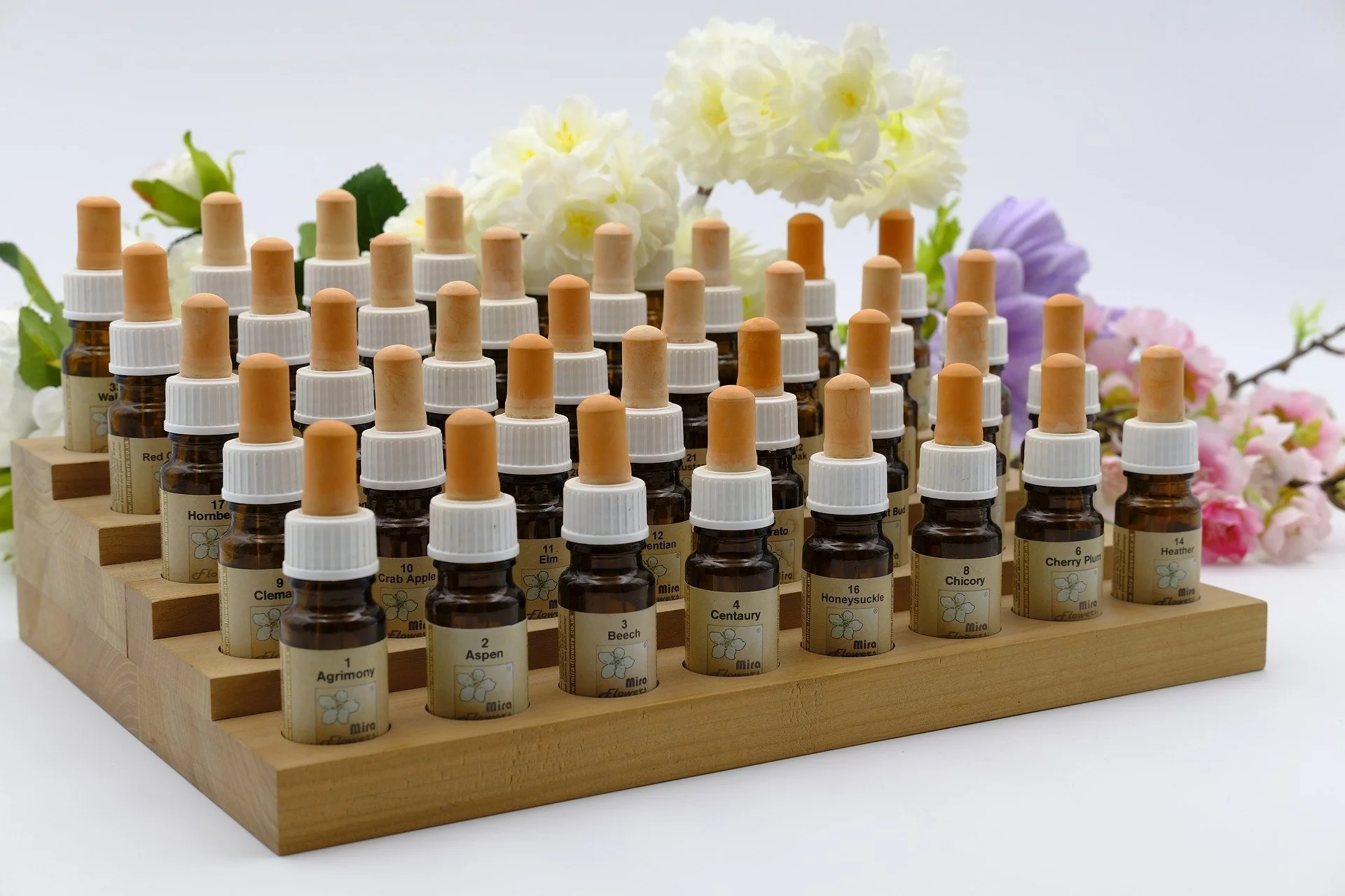 [Atelier] Fleurs de Bach 
