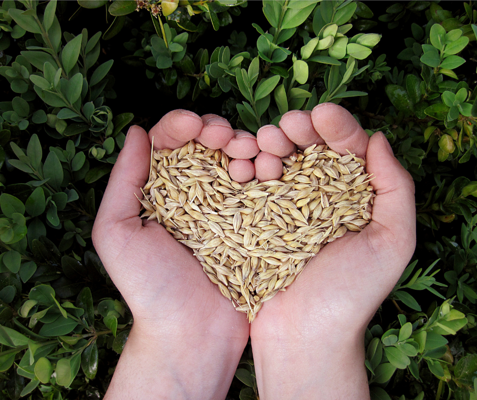 [CONFERENCE] Transition ecologique - L'agriculture via le scenario TYFA