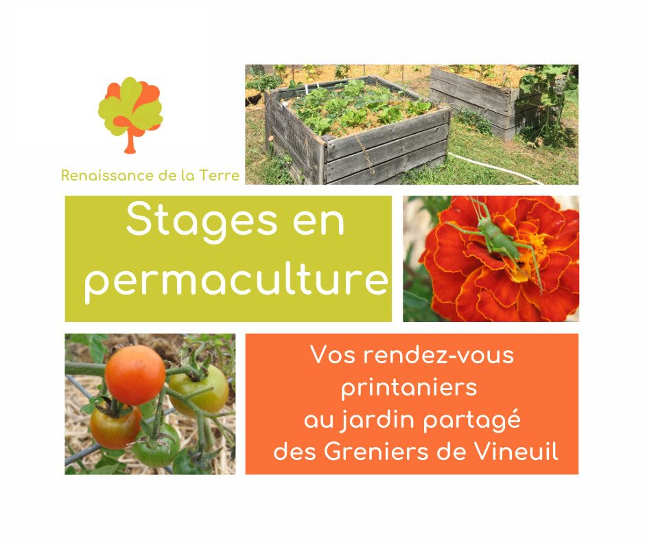 [STAGE-PERMACULTURE] L'eau au jardin