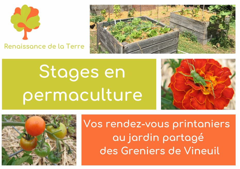 [STAGE - PERMACULTURE] Realiser un potager sur butte permanente