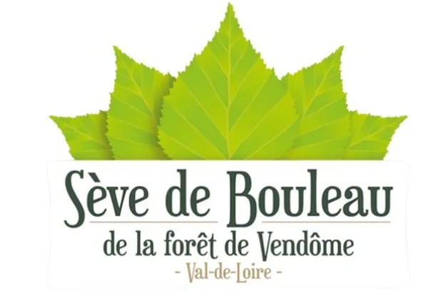 [ANIMATION] Decouverte de la seve de bouleau