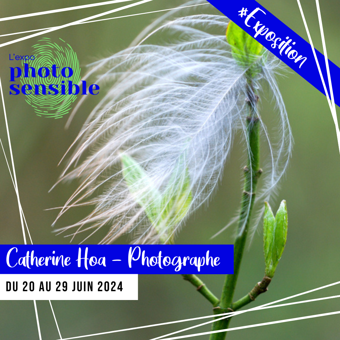 [EXPO] Photosensible par Catherine Hoa 