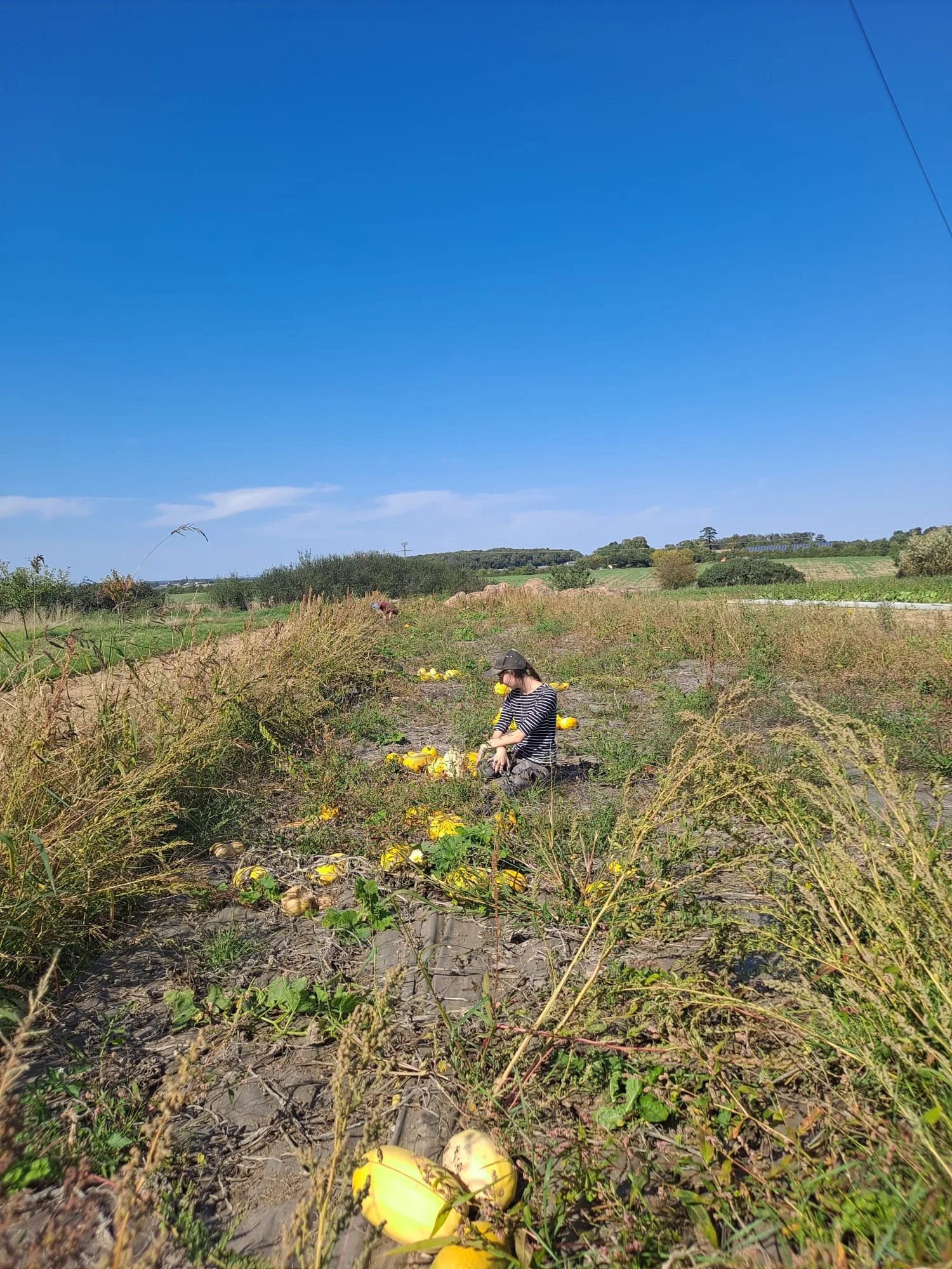 ETRE Atelier nature 2.jpg