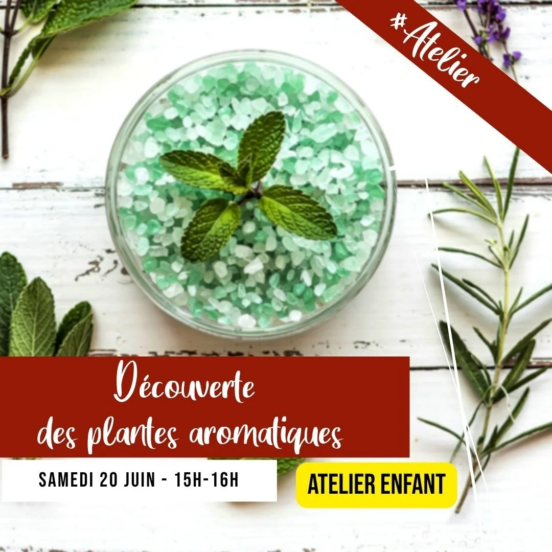 [ATELIER] Découverte des plantes aromatiques 