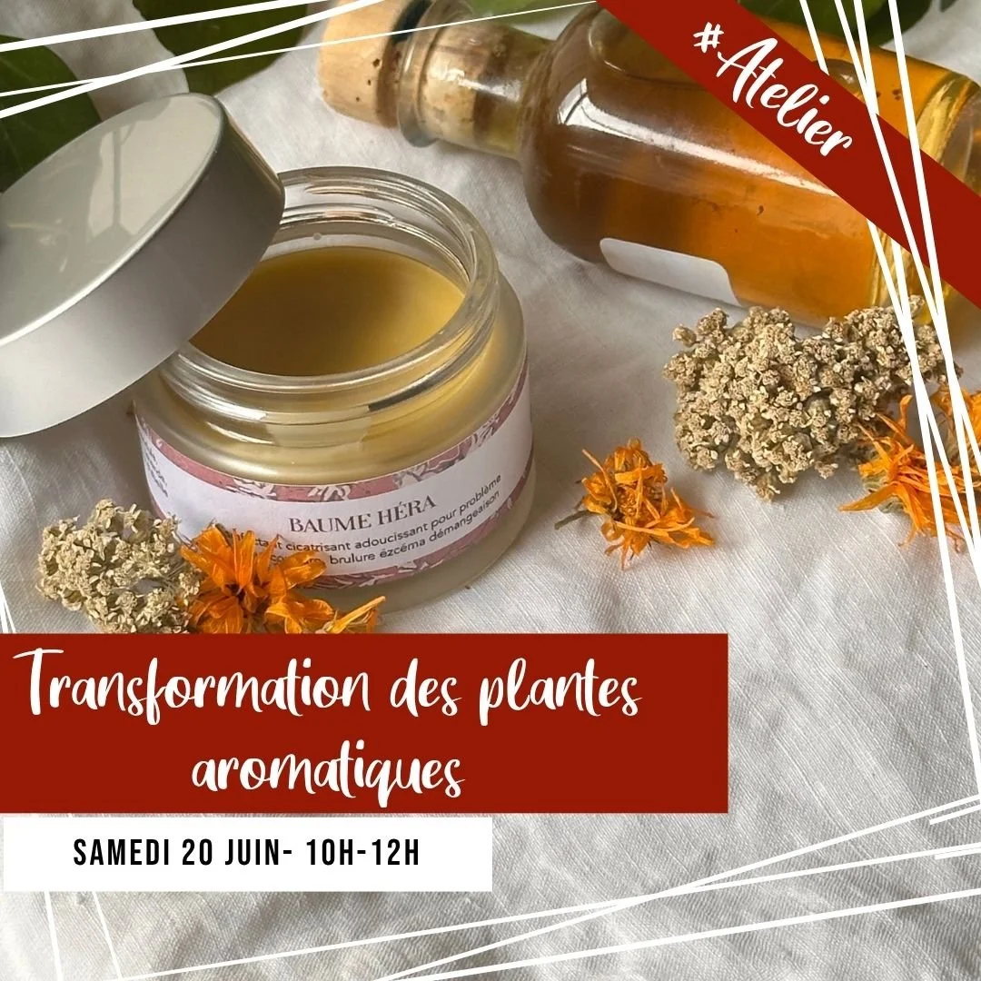 [ATELIER] Transformation des plantes aromatiques.