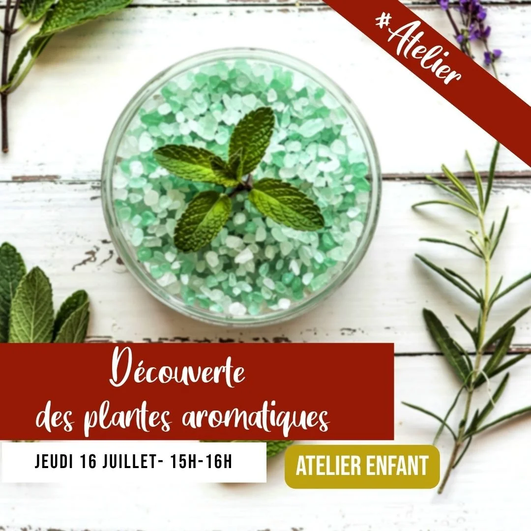 [ATELIER] Découverte des plantes aromatiques 