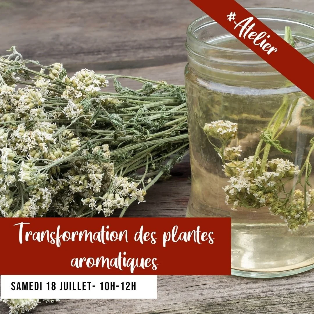 [ATELIER] Transformation des plantes aromatiques.