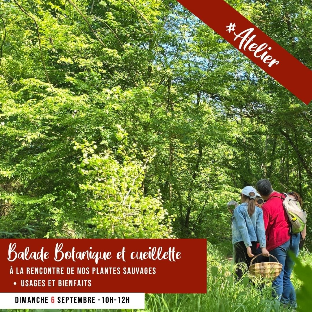 [ATELIER] Balade botanique &amp;  Apéro 