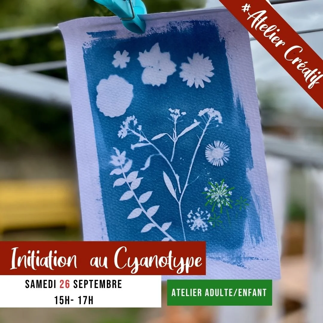 [ATELIER] Découvrez la technique du cyanotype 