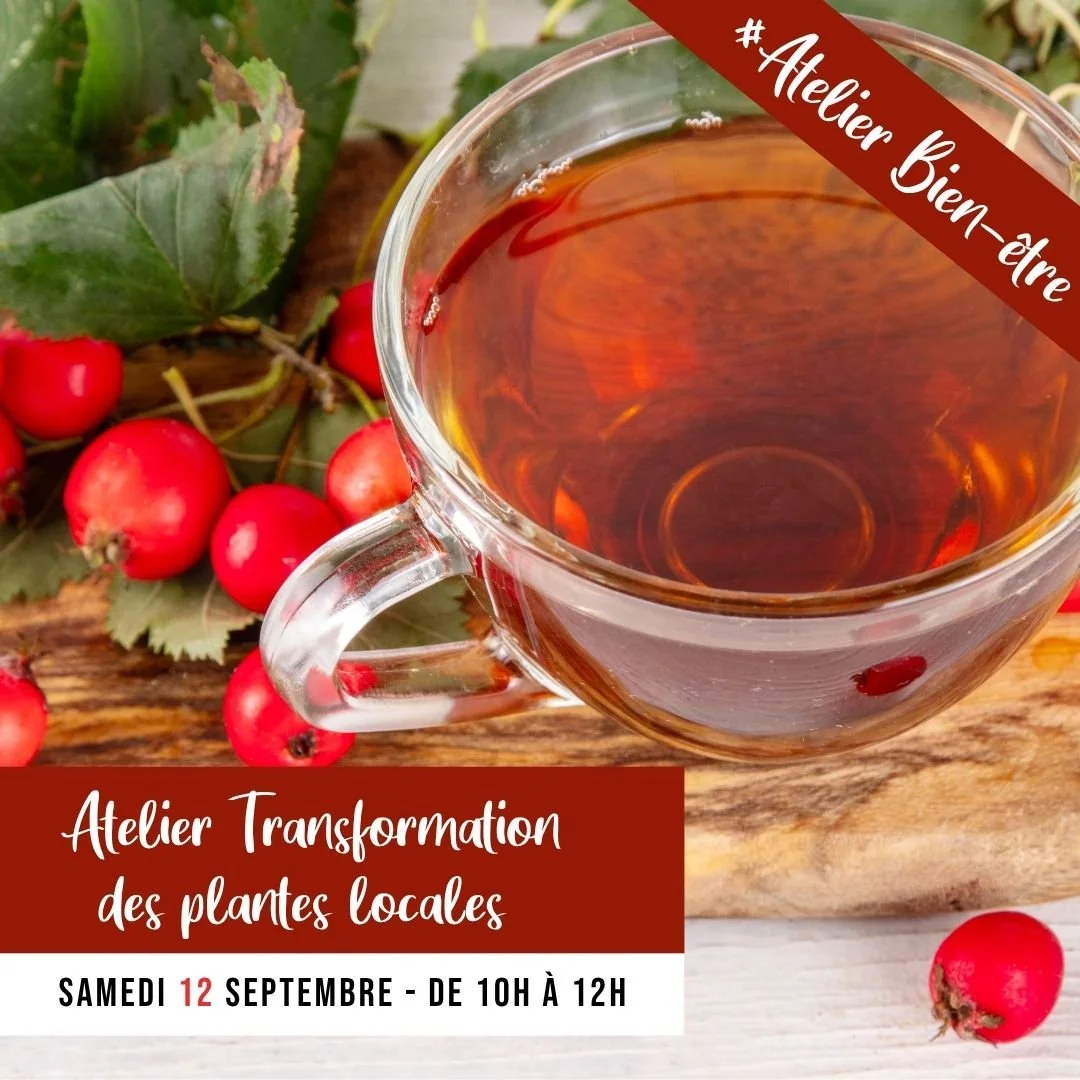 [ATELIER] Transformation des plantes aromatiques.