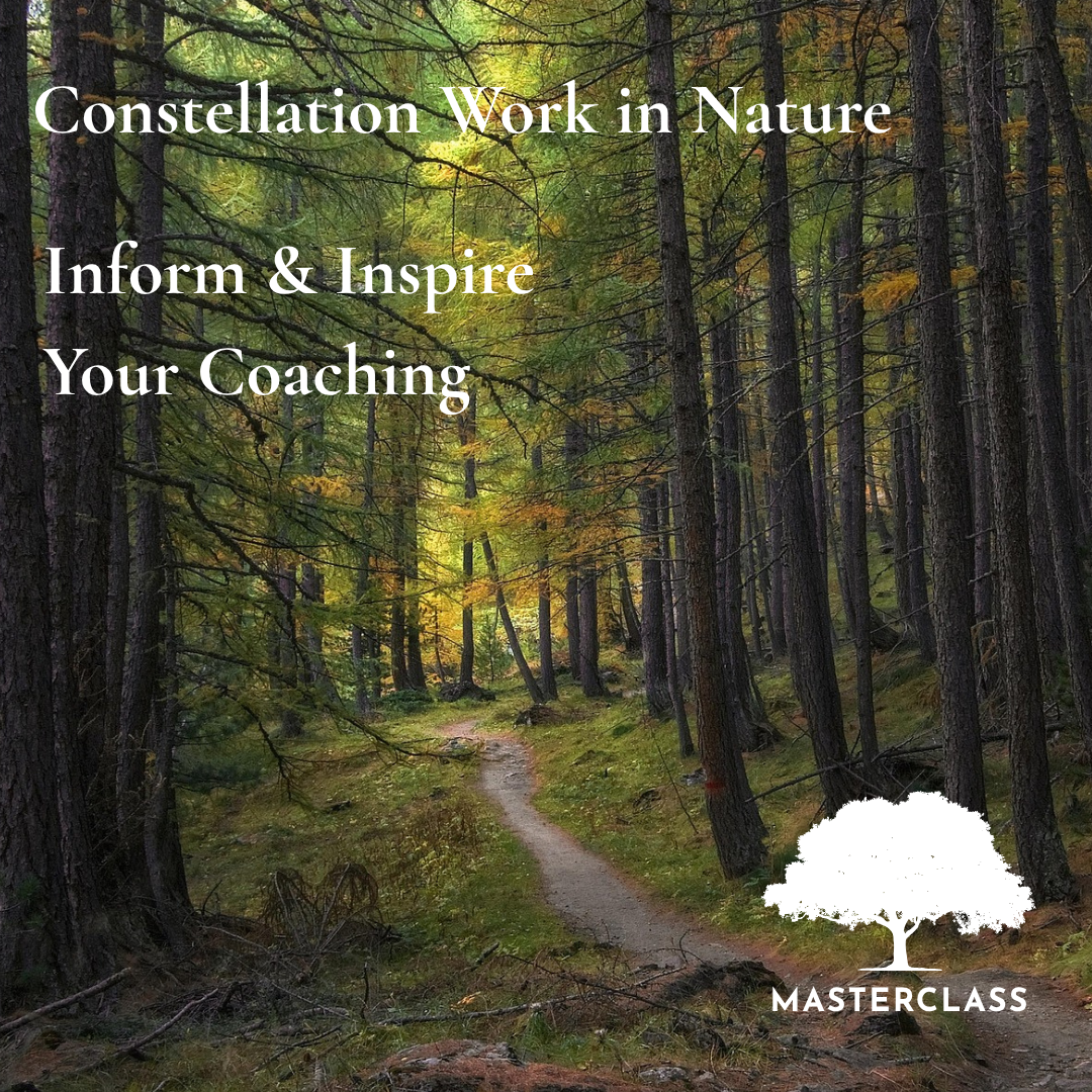 Constellation Work Masterclass.png