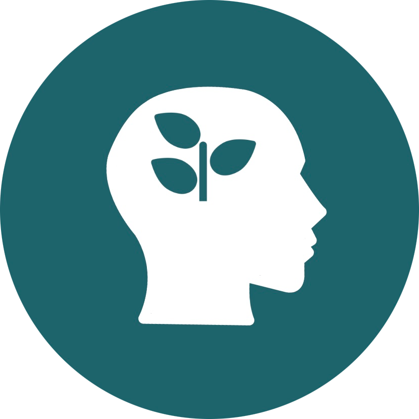 Courses &amp; Programmes