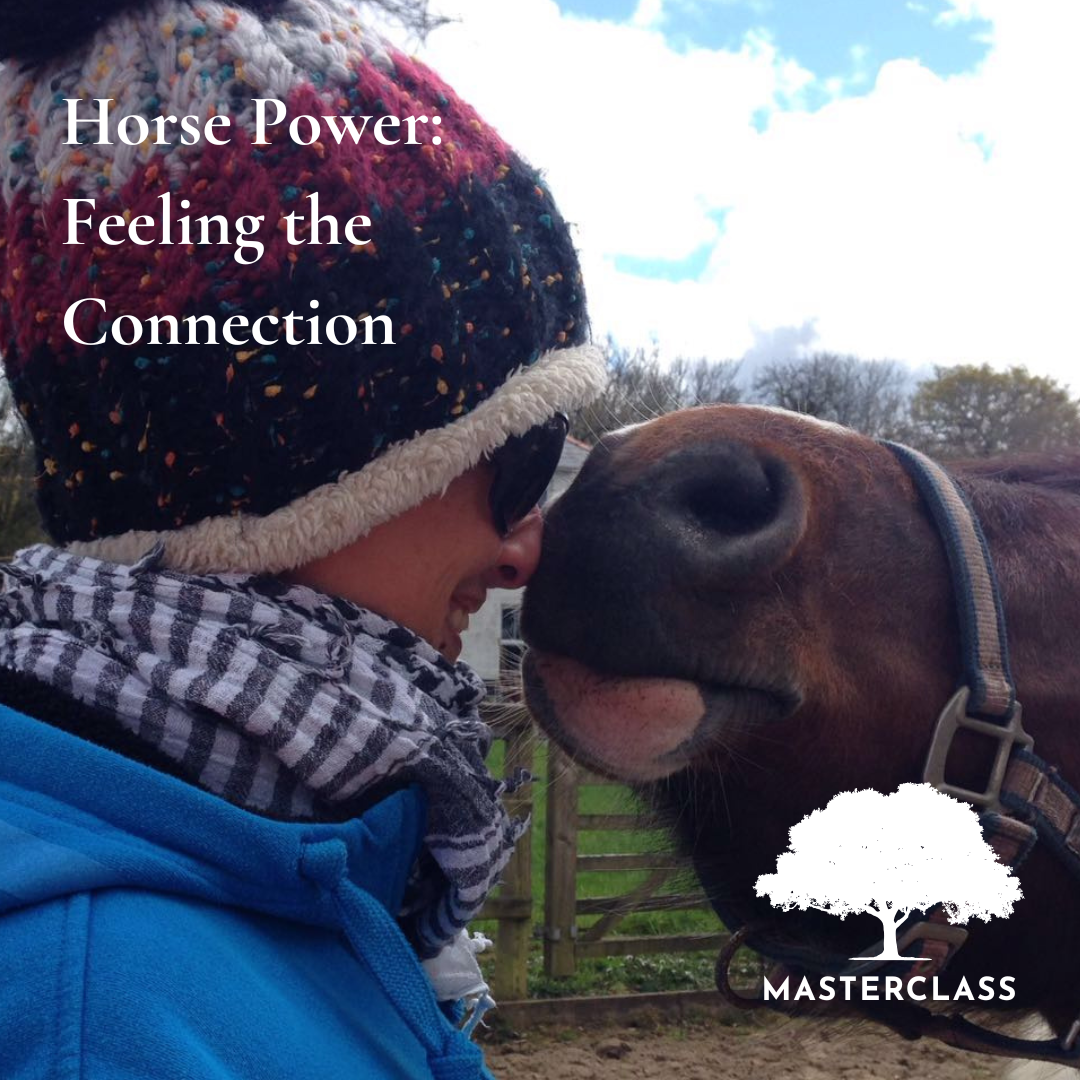 Horse power  Feeling the Connection.png