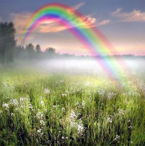 Mental wellbeing as a rainbow