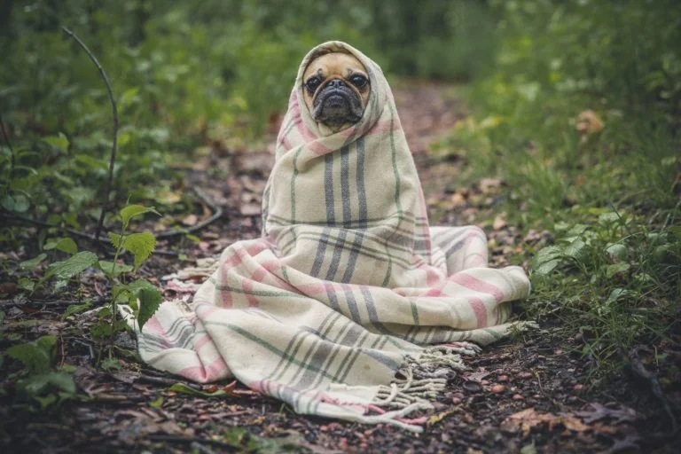 A Simple way to ease anxiety at exam time