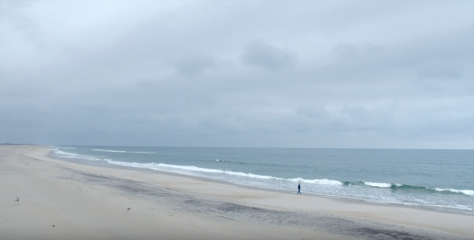 Screen Shot 2019-06-26 at 3.45.04 PM.png