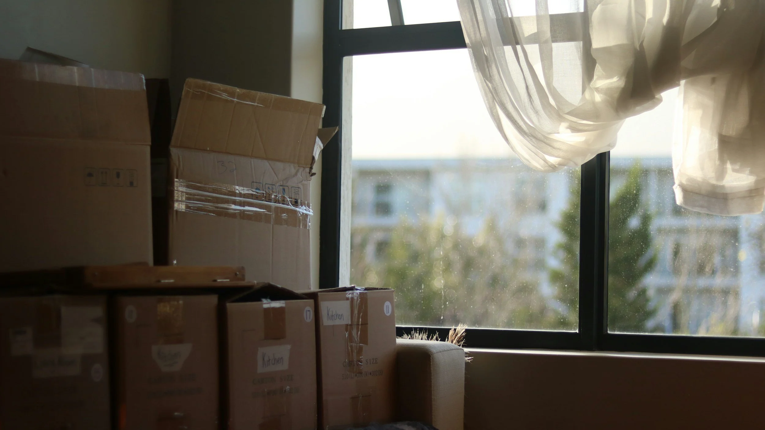 Decluttering Before a Move: A Step-by-Step Guide for Chicago North Shore Homes