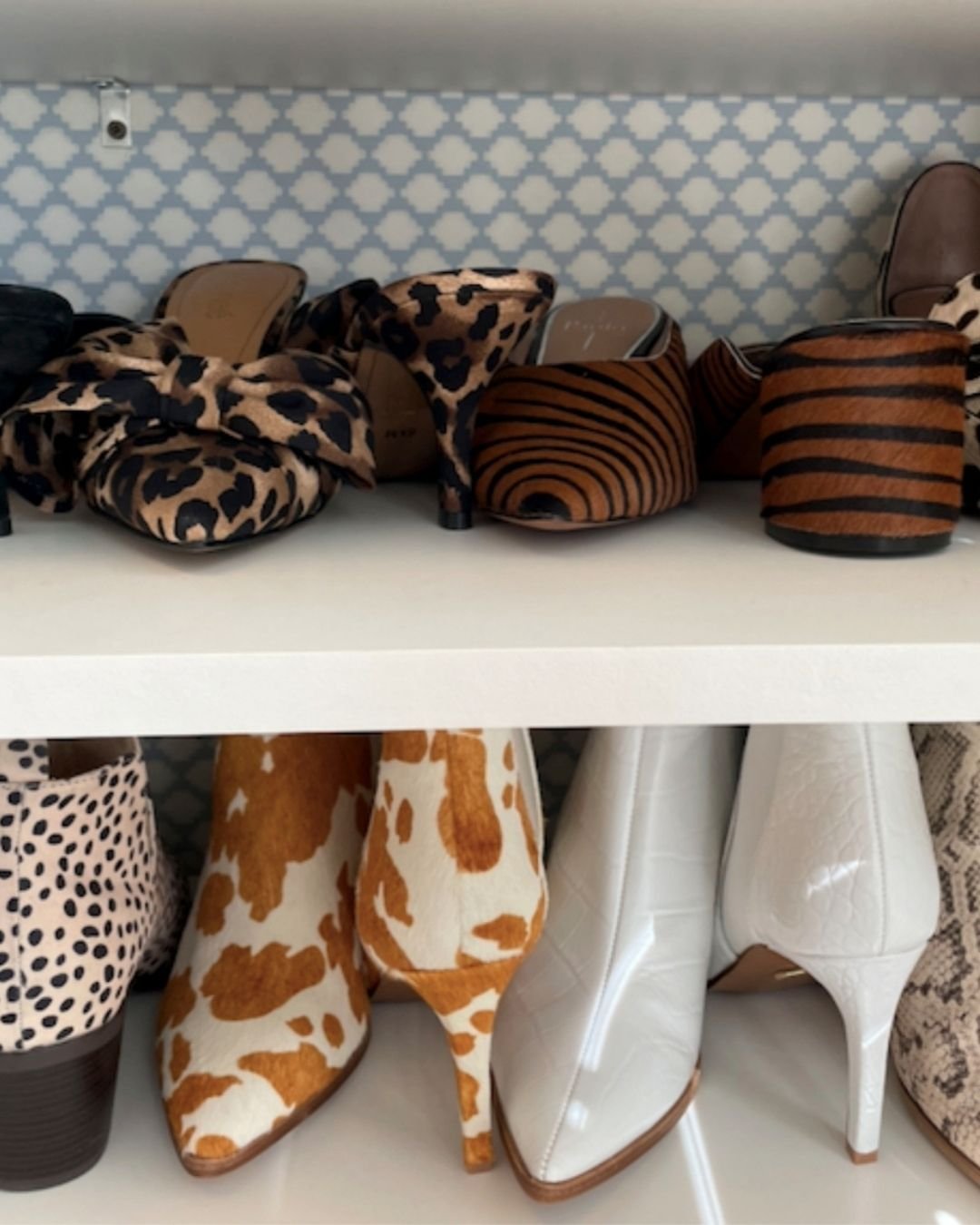 Close up of two shelves filled with woman's shoes. The shoes are patterned with animal prints like cow print, leopard print, and tiger stripe print.