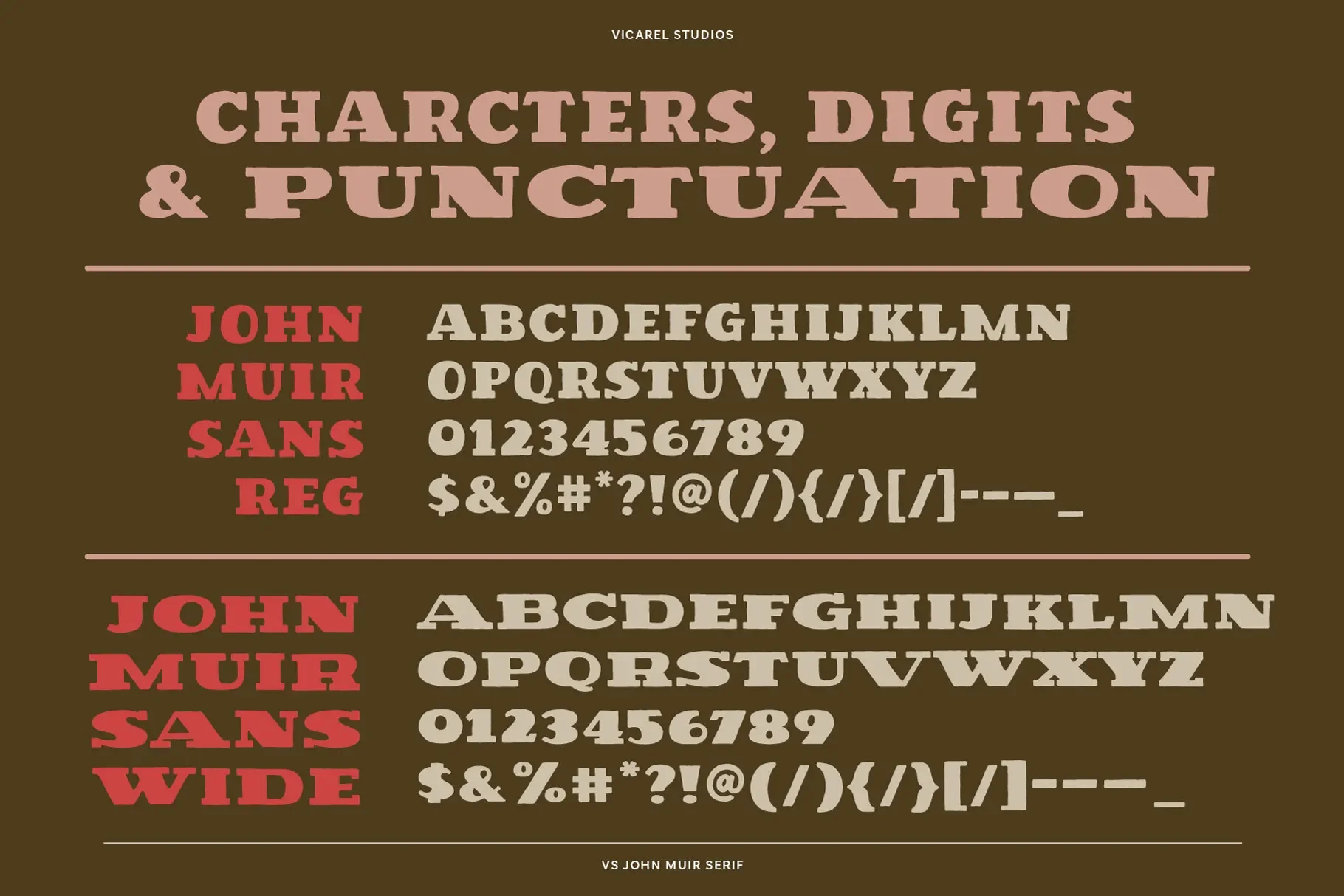 john-muir-serif-regular-wide-glyph-set-by-vicarel-studios.webp