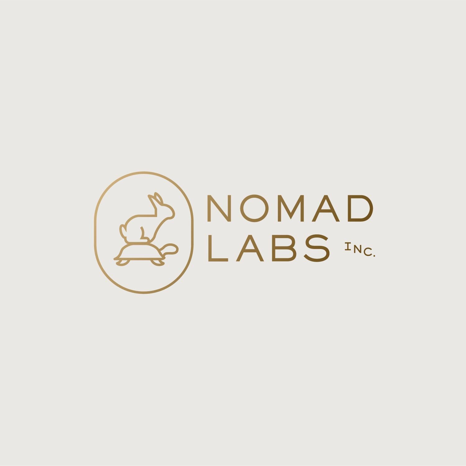 VS.Website.Logos.02a_NomadLabs.jpg