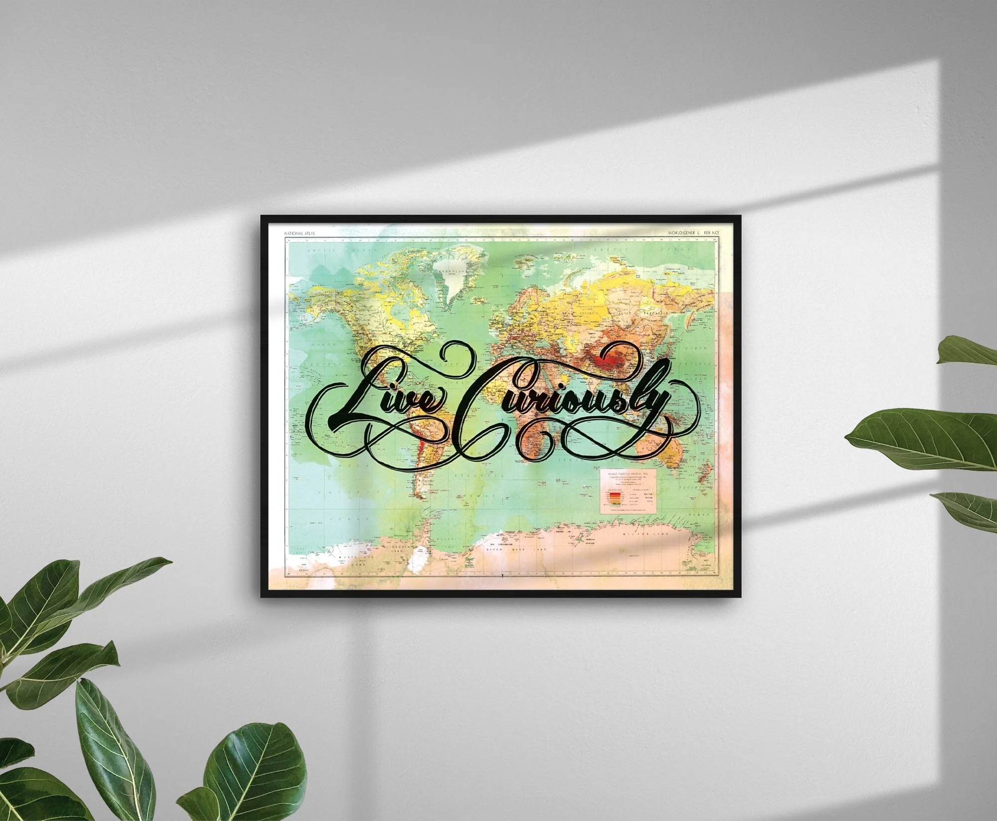 VS.Product.Prints.14x11_LiveCuriously.jpg