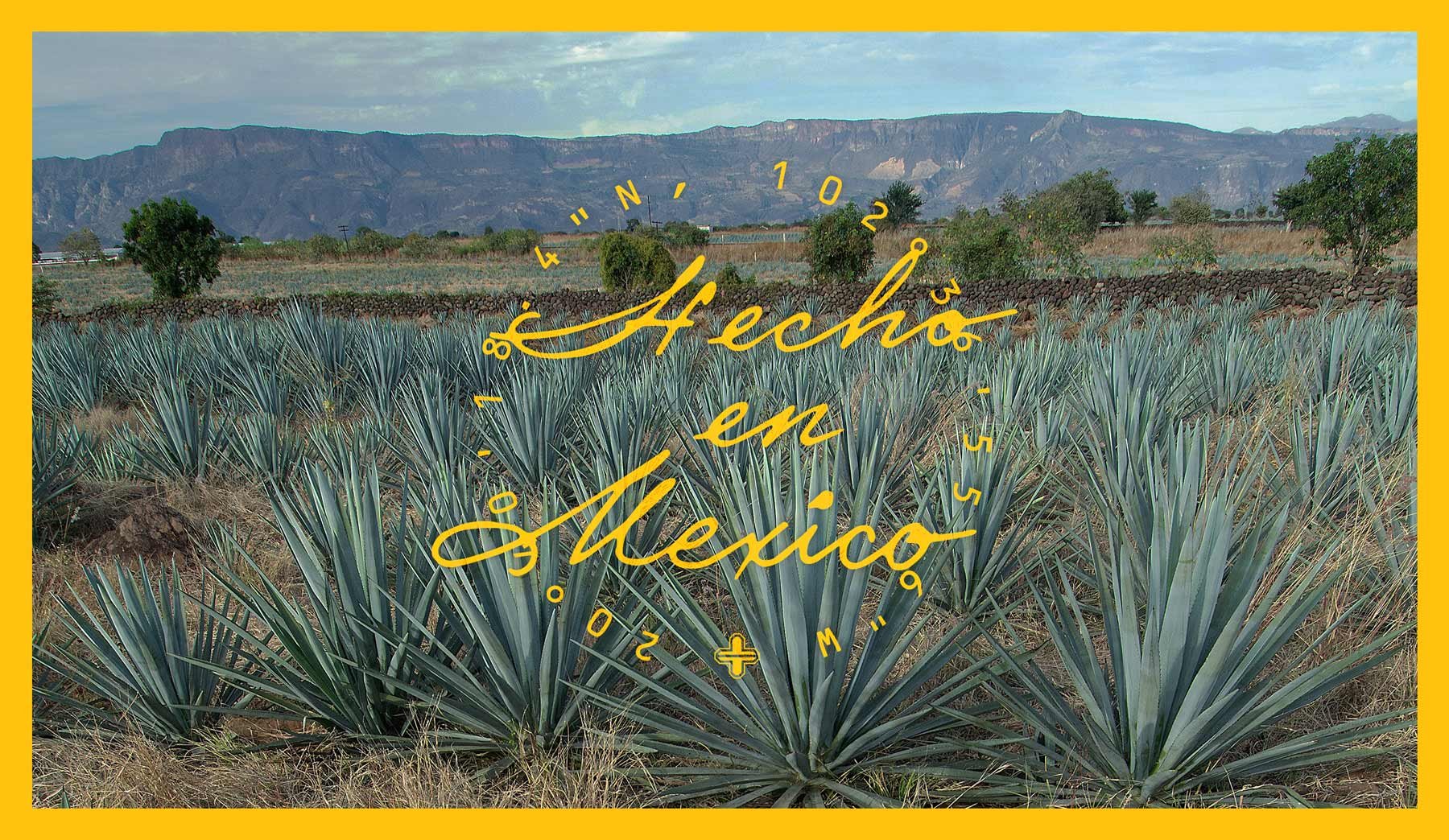 Telson-tequila-hecho-en-mexico-agaves.jpg