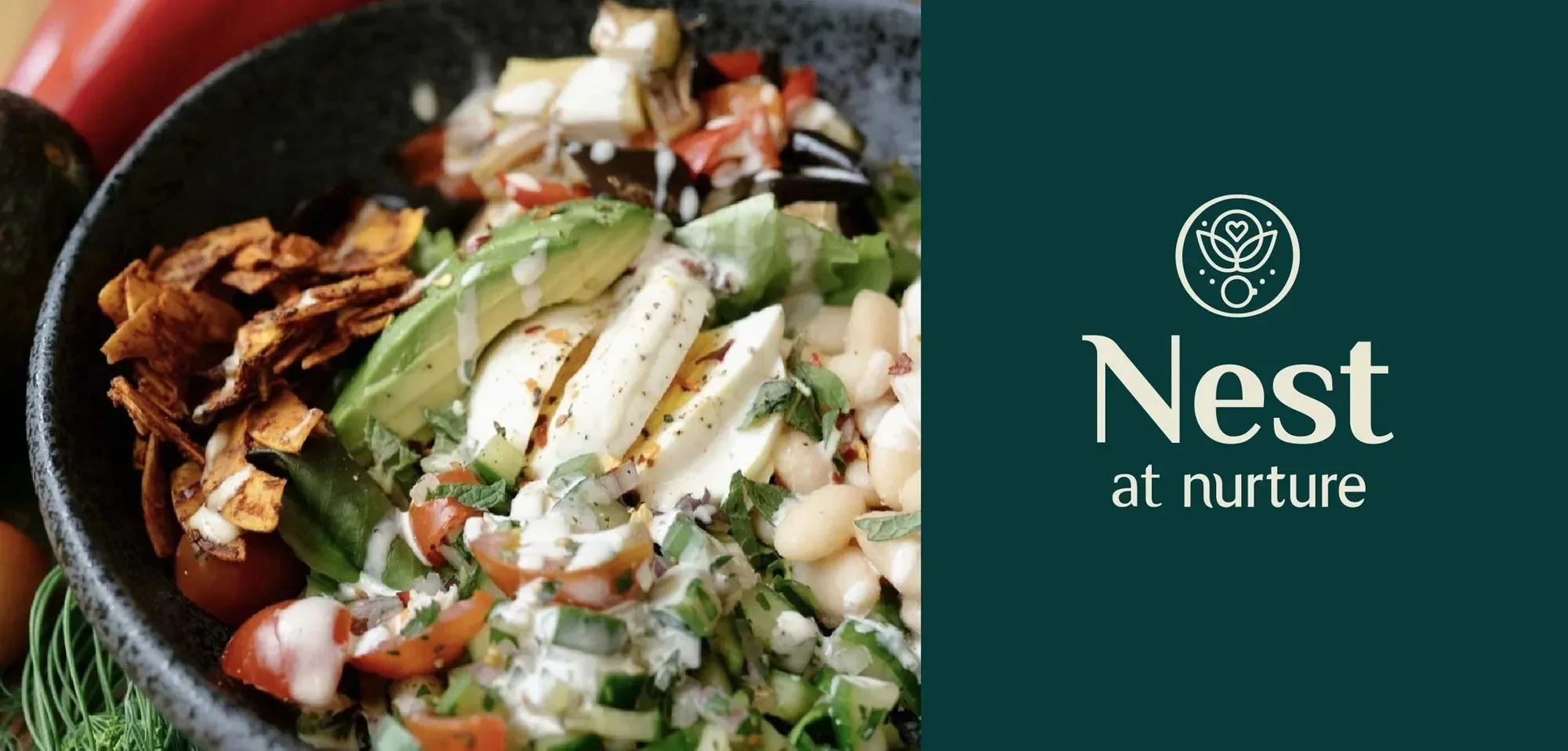 vicarel-studios-nurture-nest-cafe-sub-brand-lockup.webp