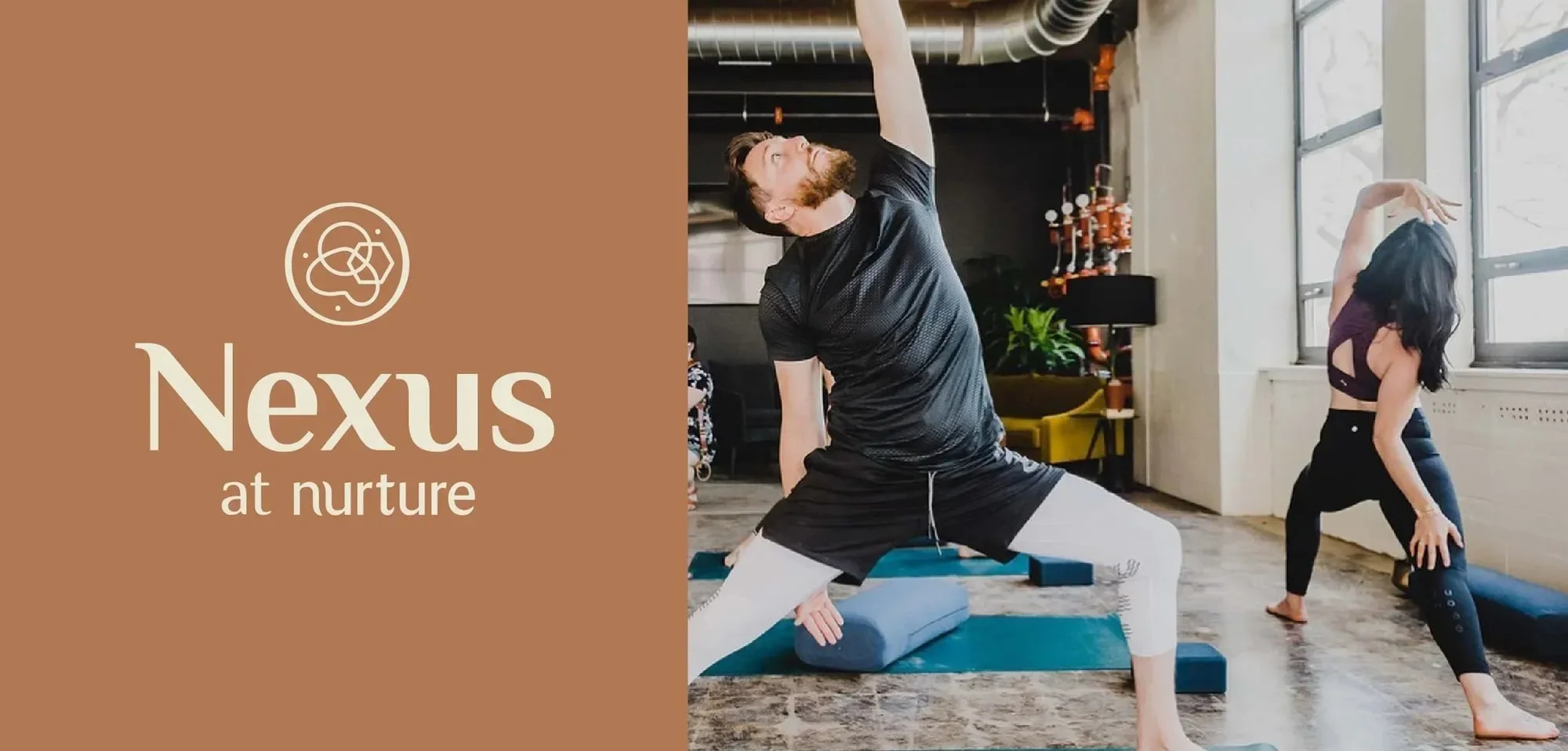 vicarel-studios-nurture-nexus-fitness-sub-brand-lockup.webp