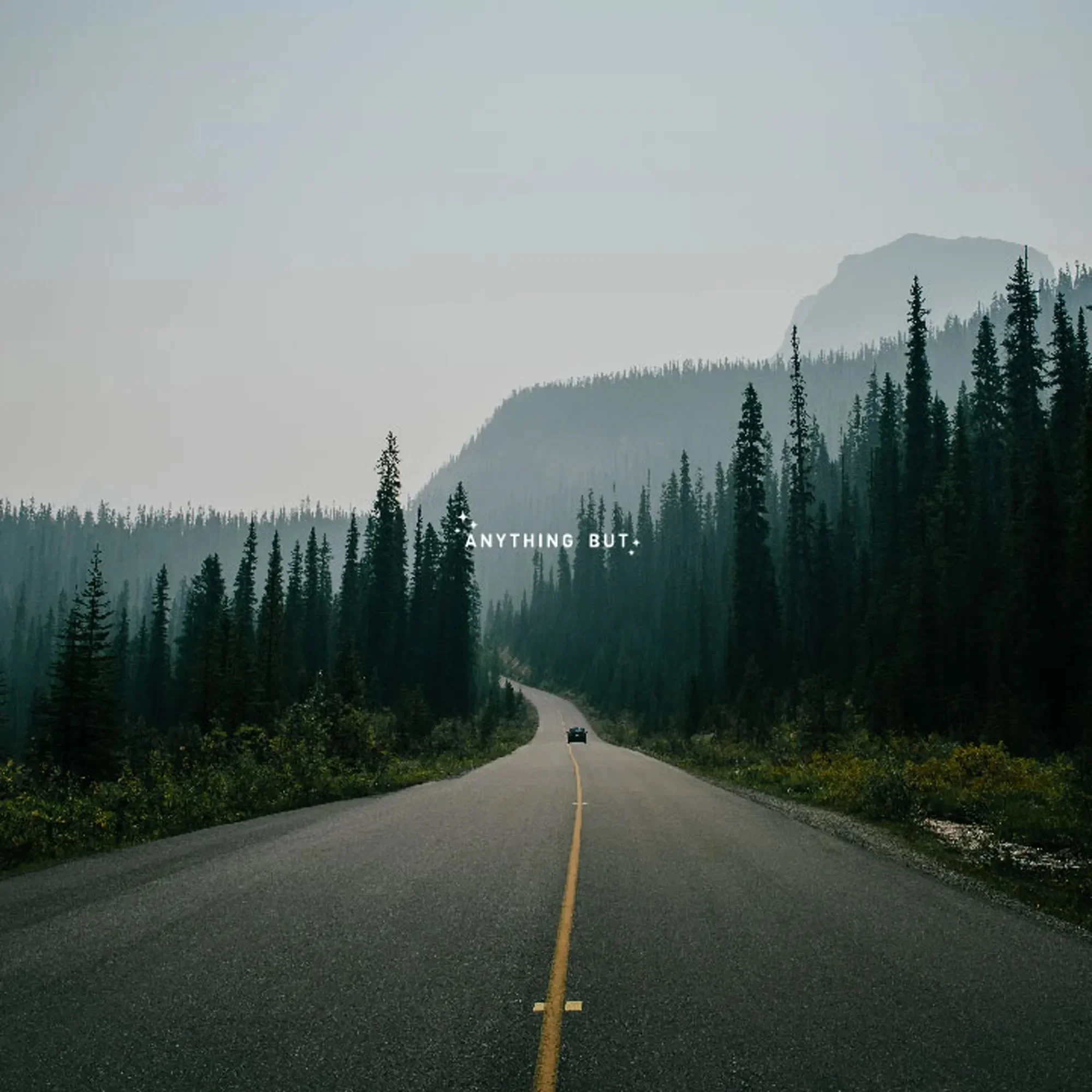 vicarel-studios-garden-variety-adventure-cannabis-lifestyle-social.webp