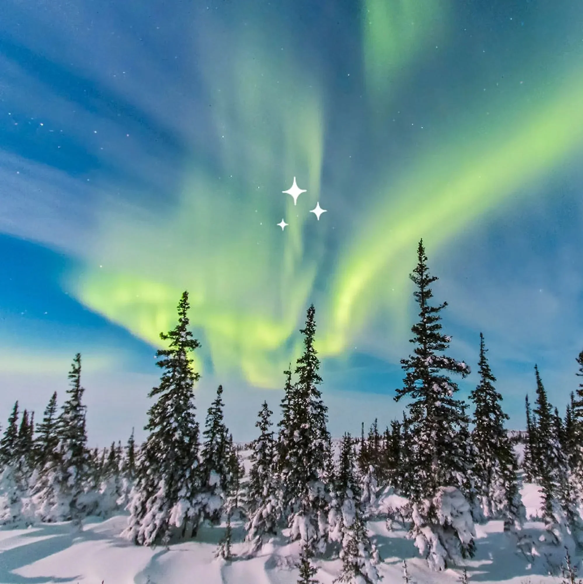 vicarel-studios-garden-variety-northern-lights-aurora-cannabis-social.webp