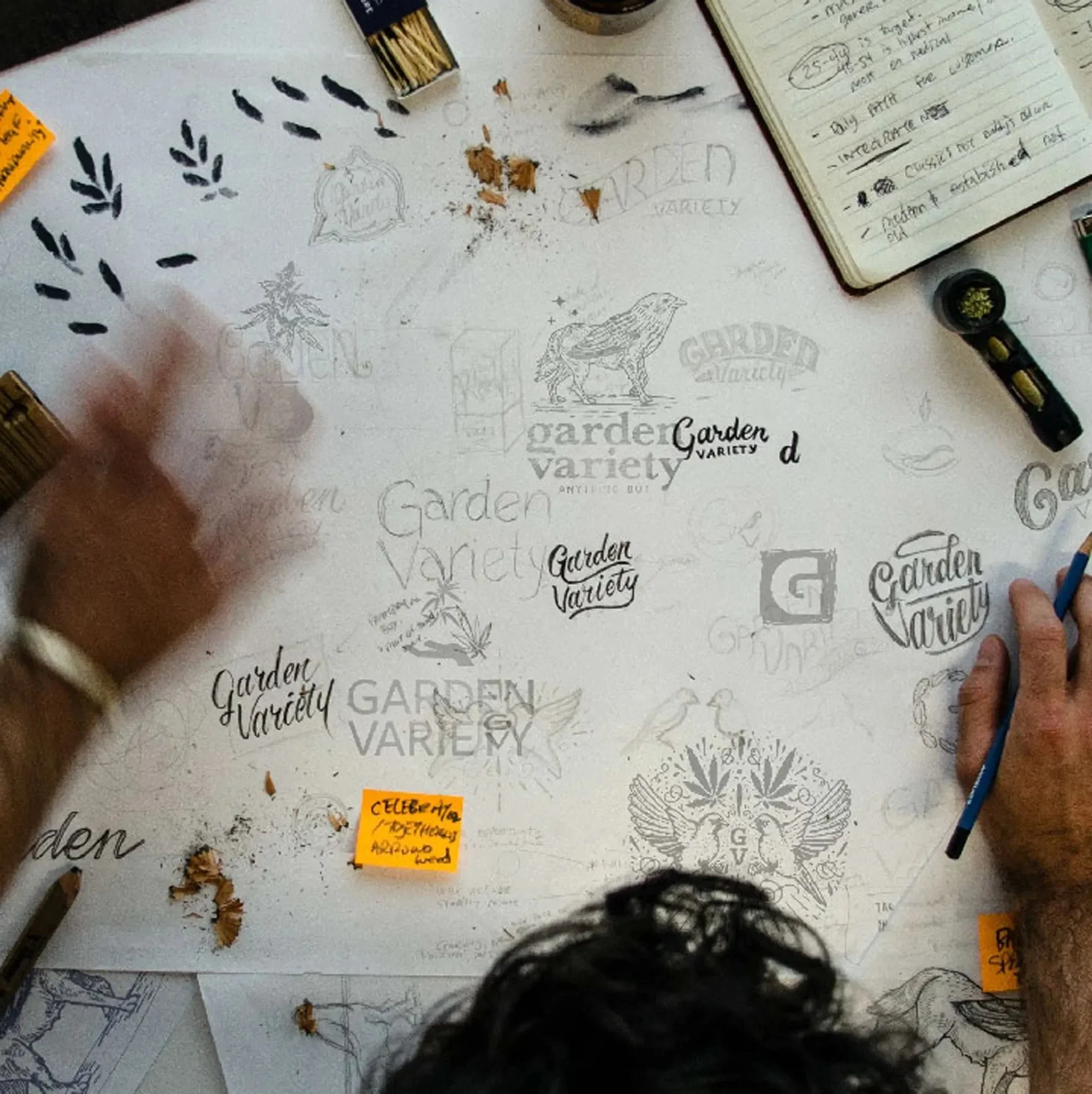 vicarel-studios-garden-variety-sketch-cannabis-process-social.webp