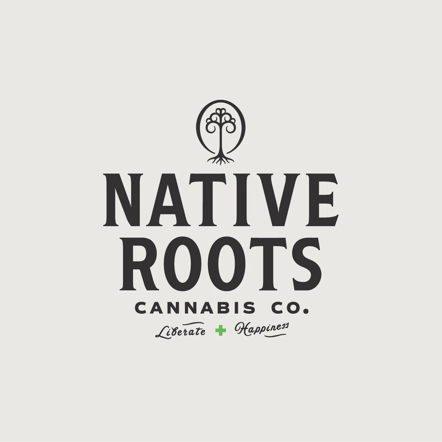 VS.Website.Logos.02a_NativeRoots.jpg