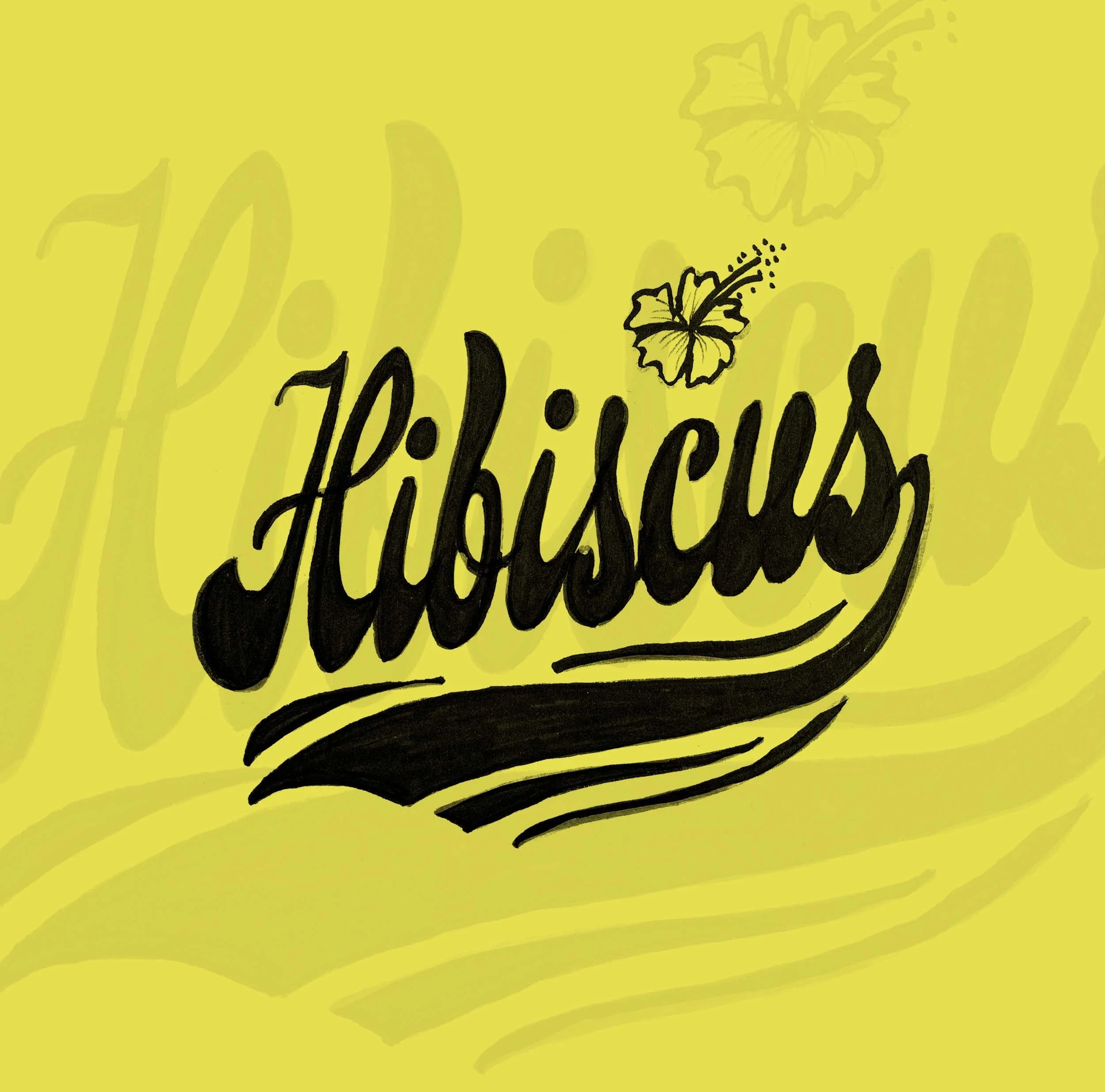 VS.Website.NewBelgium.MuralTypography_Hibiscus.jpg