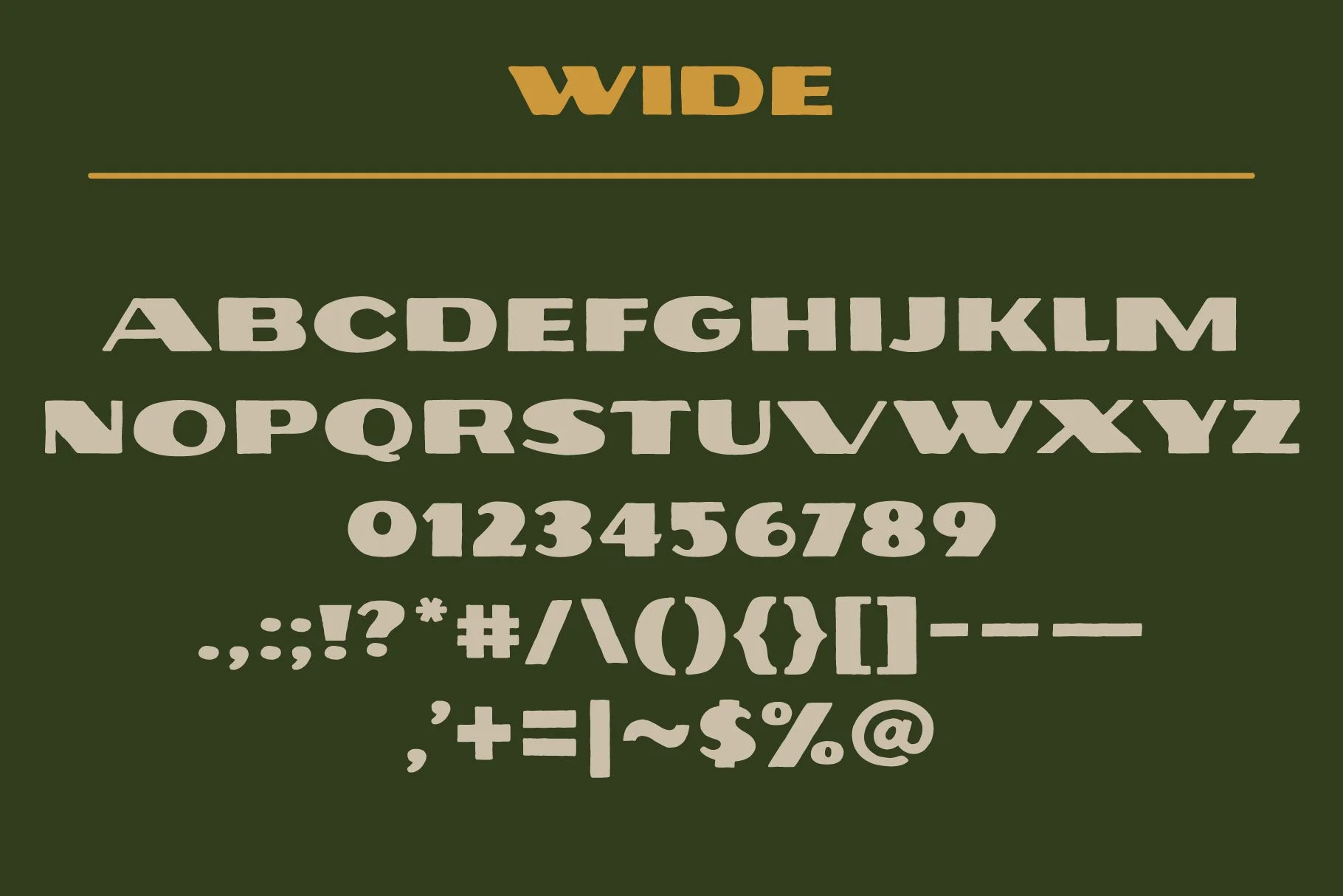 VS.Typefaces.JohnMuirSans.Promotion.04b-13.jpg