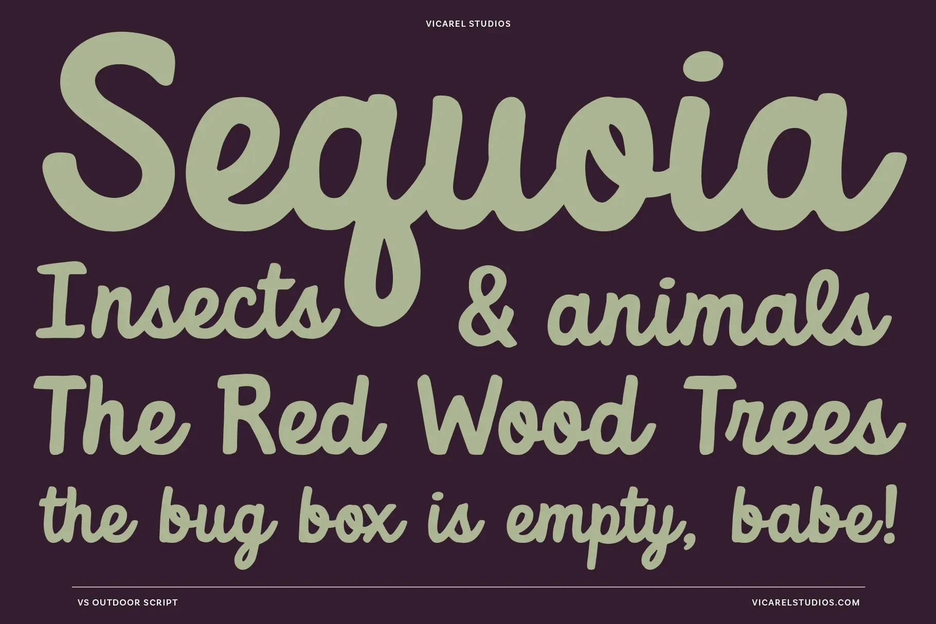 outdoor-script-font-autumn-foliage-poster-by-vicarel-studios.webp