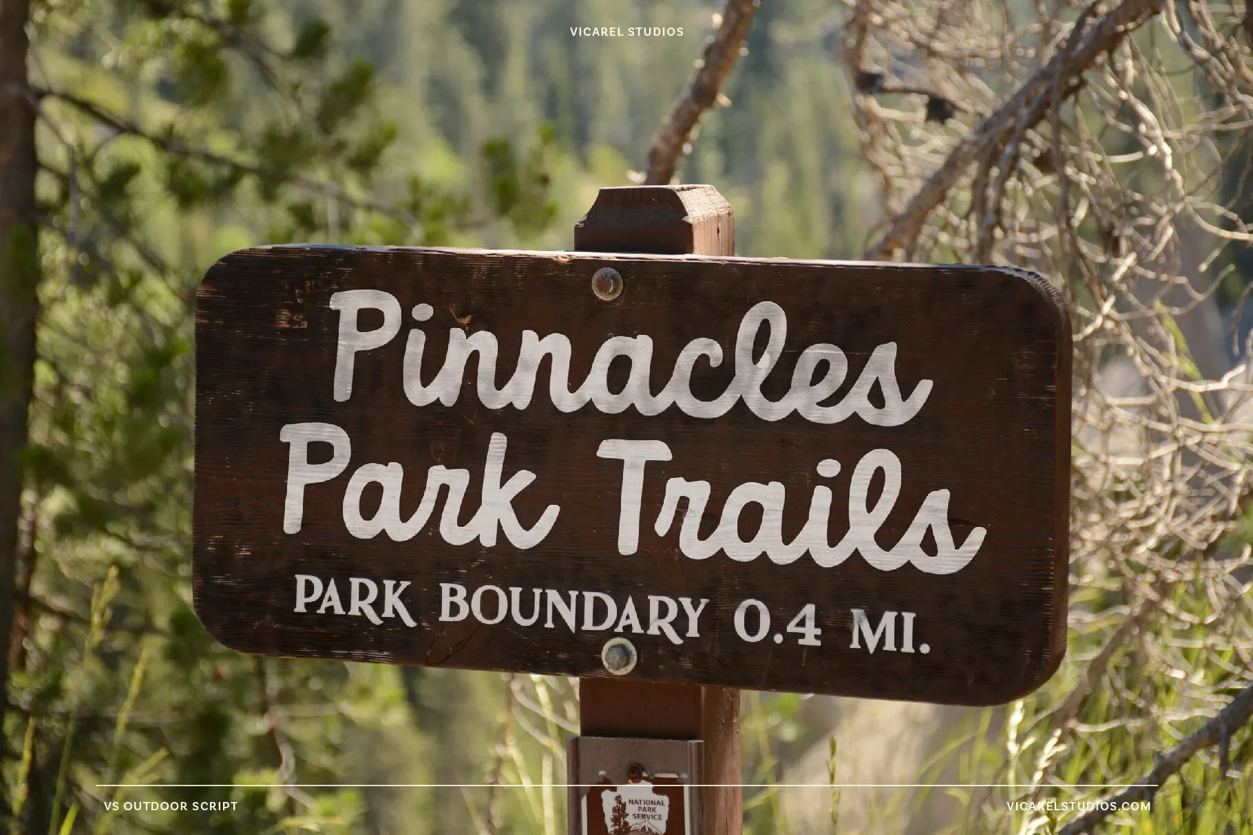 outdoor-script-font-desert-landscape-poster-by-vicarel-studios.webp